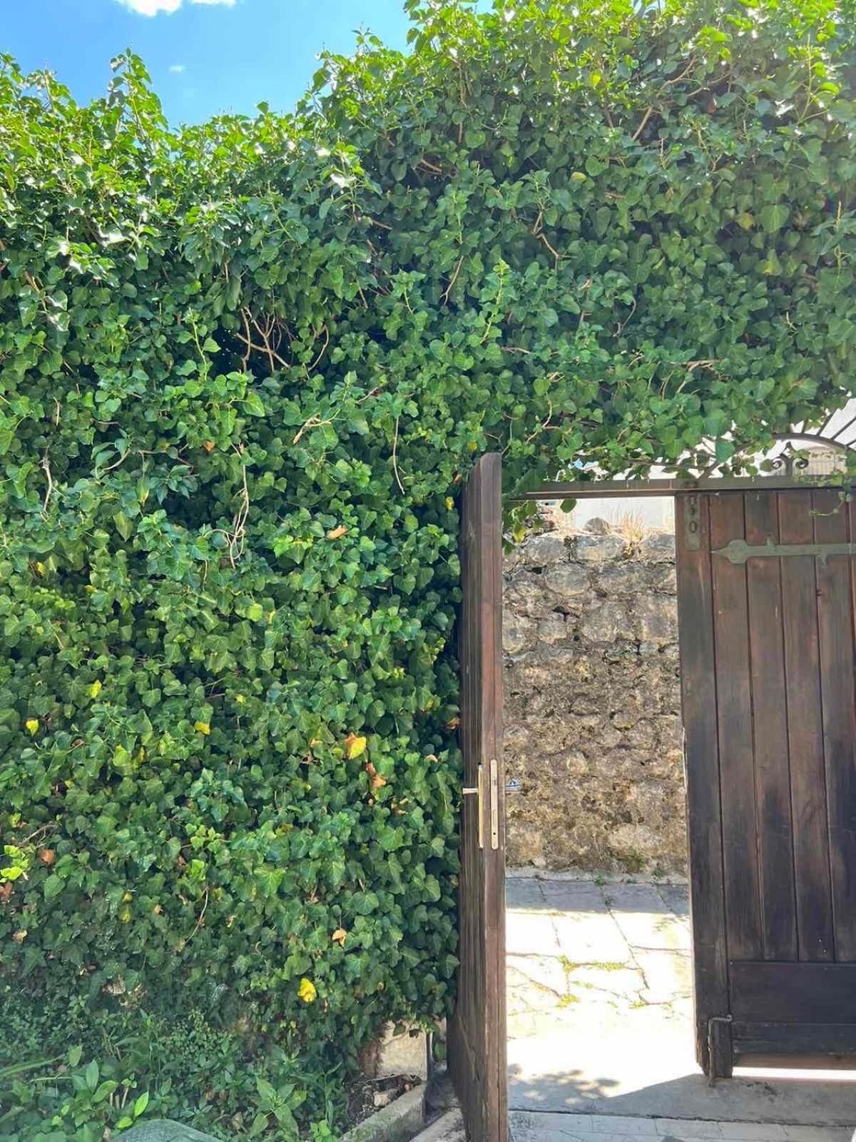 Apartments Ivanisevic Kotor Exterior foto